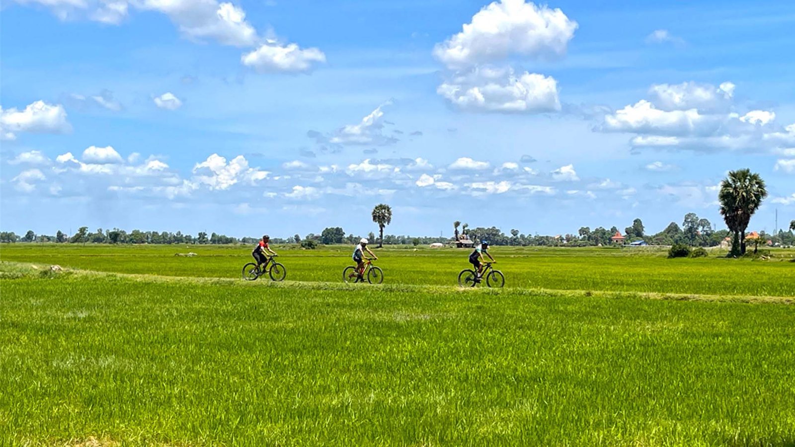 Siem Reap Bike Tour 3 Days Kampong Phluk, Angkor Temples